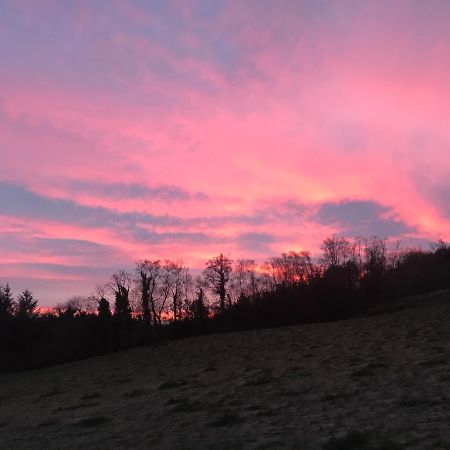 Forest View - Castlewellan, County Down Μπέλφαστ Εξωτερικό φωτογραφία