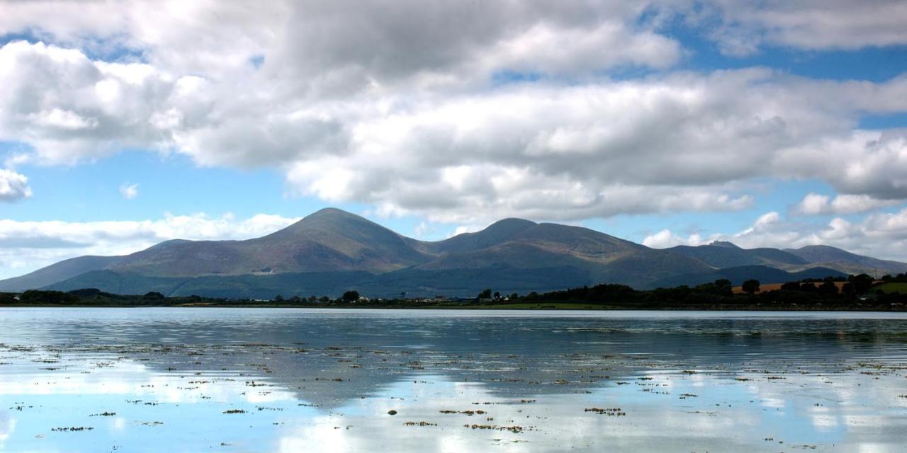Forest View - Castlewellan, County Down Μπέλφαστ Εξωτερικό φωτογραφία
