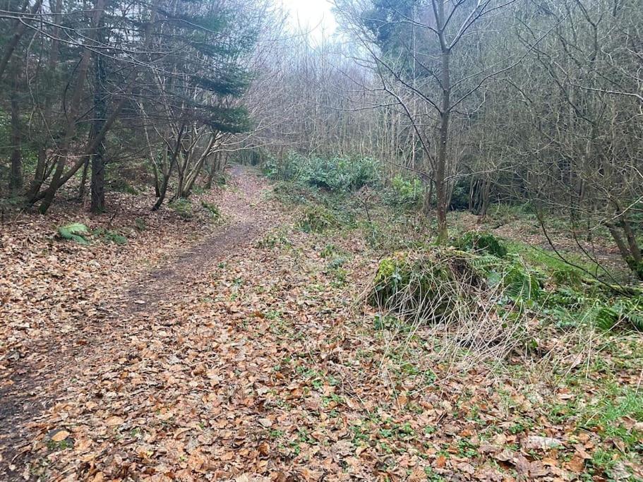 Forest View - Castlewellan, County Down Μπέλφαστ Εξωτερικό φωτογραφία