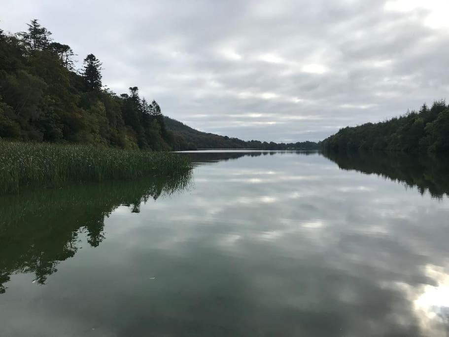 Forest View - Castlewellan, County Down Μπέλφαστ Εξωτερικό φωτογραφία