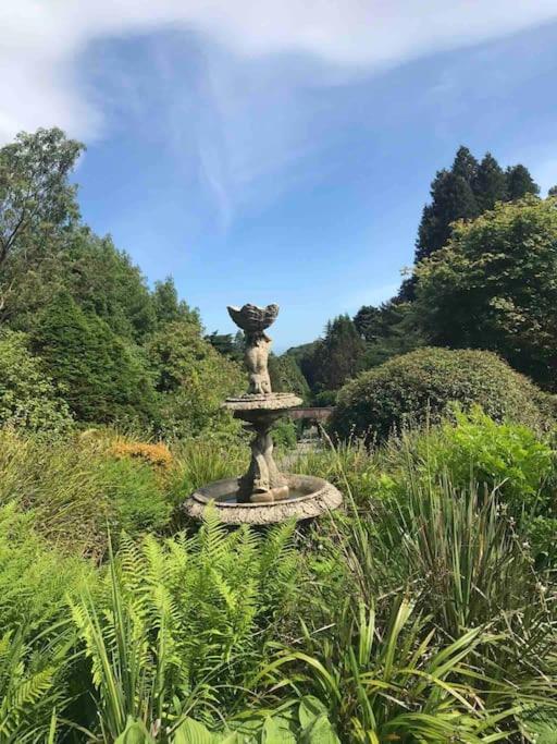 Forest View - Castlewellan, County Down Μπέλφαστ Εξωτερικό φωτογραφία