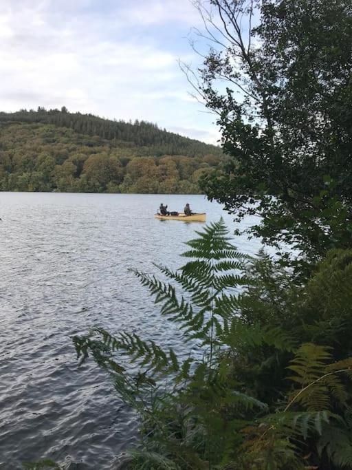 Forest View - Castlewellan, County Down Μπέλφαστ Εξωτερικό φωτογραφία