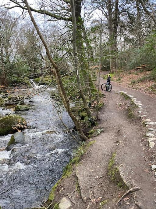 Forest View - Castlewellan, County Down Μπέλφαστ Εξωτερικό φωτογραφία