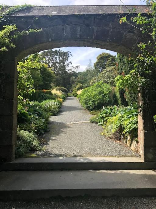 Forest View - Castlewellan, County Down Μπέλφαστ Εξωτερικό φωτογραφία