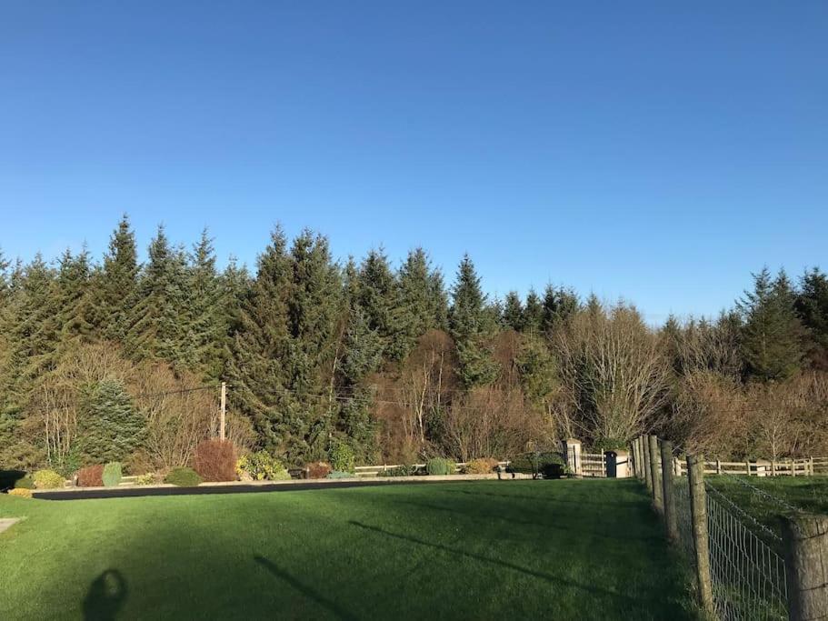 Forest View - Castlewellan, County Down Μπέλφαστ Εξωτερικό φωτογραφία