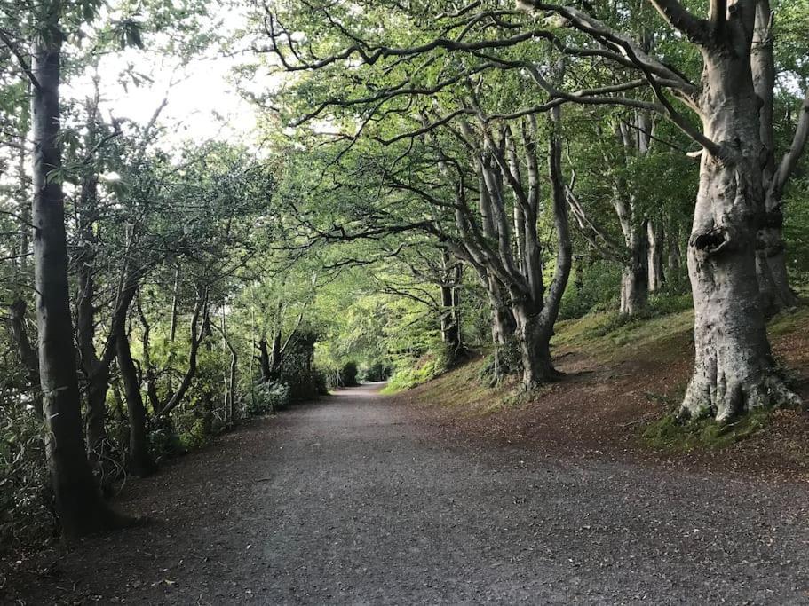 Forest View - Castlewellan, County Down Μπέλφαστ Εξωτερικό φωτογραφία