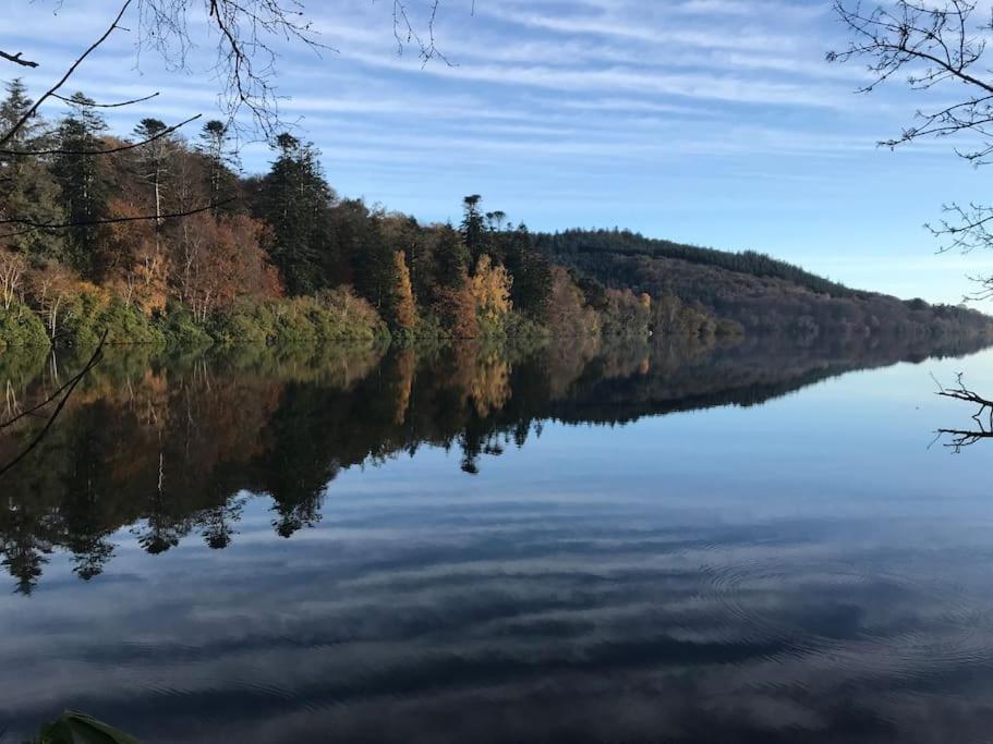 Forest View - Castlewellan, County Down Μπέλφαστ Εξωτερικό φωτογραφία