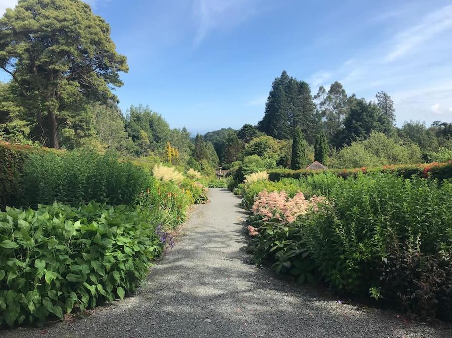 Forest View - Castlewellan, County Down Μπέλφαστ Εξωτερικό φωτογραφία