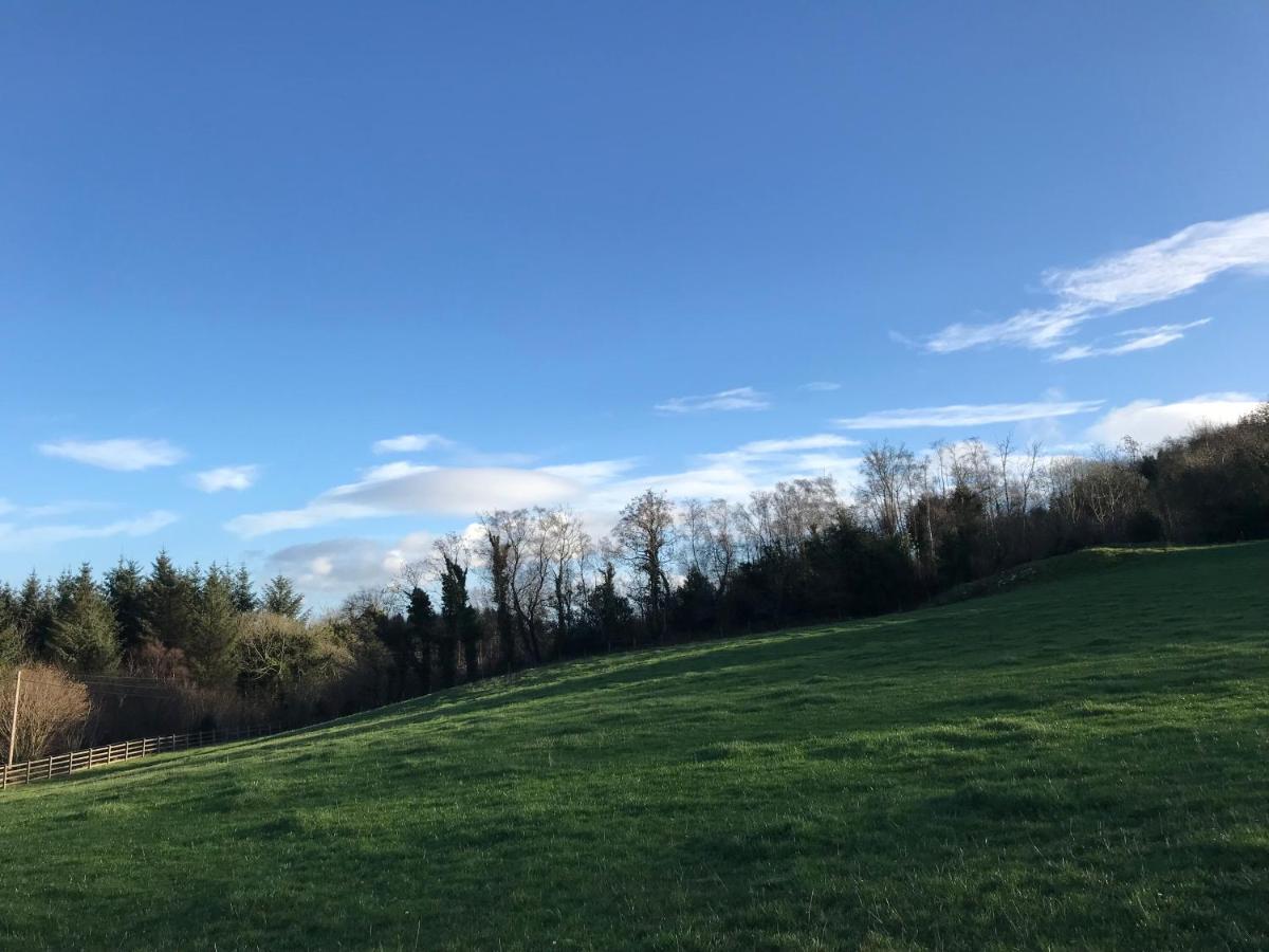 Forest View - Castlewellan, County Down Μπέλφαστ Εξωτερικό φωτογραφία